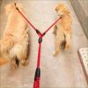 Laisse double pour gros chien avec poignée rembourrée – Image 3