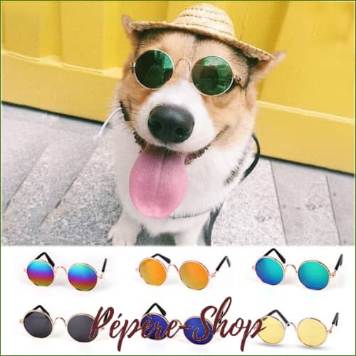 Lunettes de soleil rondes pour petit chien Lunettes de soleil rondes pour petit chien