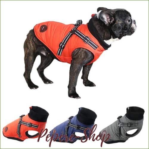 Manteau Harnais pour french bouledogue – Réfléchissant Manteau Harnais pour french bouledogue – Réfléchissant