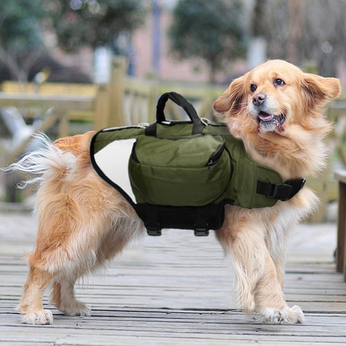 image du harnais avec poche sur un chien de moyenne taille