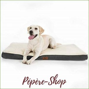 Tapis grand chien orthopédique et déhoussable