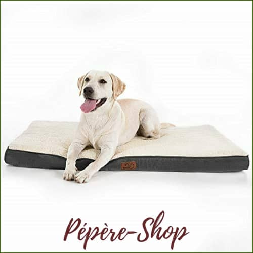 Tapis grand chien orthopédique et déhoussable Tapis grand chien orthopédique et déhoussable