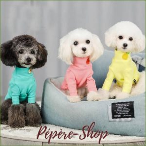 Tee shirt coloré pour petit chien