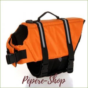 Veste de flottaison pour chien pas cher et colorée