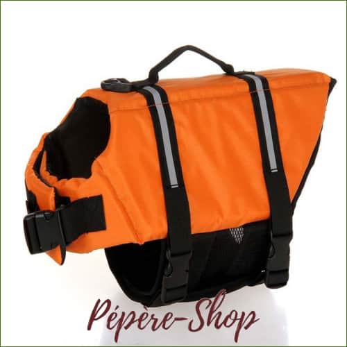 Veste de flottaison pour chien pas cher et colorée Veste de flottaison pour chien pas cher et colorée